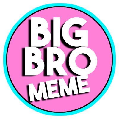 BigBroMeme's profile picture