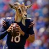 Profilbild von Bandwagon Bears Fan