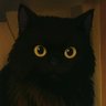 نَكِرَةٌ's profile picture