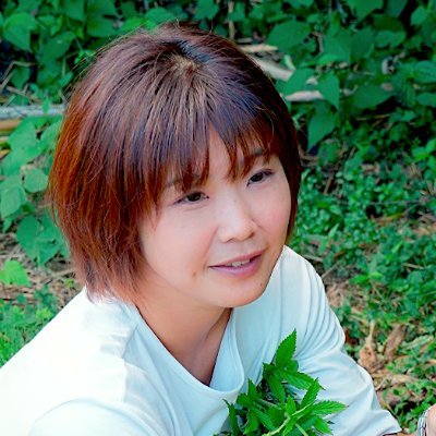 Sado_Yomogi's profile picture