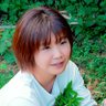 Фото профиля 菊池はるみ@佐渡島の野草研究家|安心を自給する暮らしの案内人