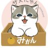 ひろちゅ profil fotoğrafı