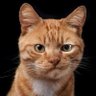 Profilbild von Emine Ama Emoş