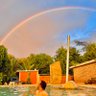 Ari's profile picture