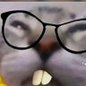 CIMON.miau 的头像