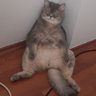 Tolga Ustaol profil fotoğrafı
