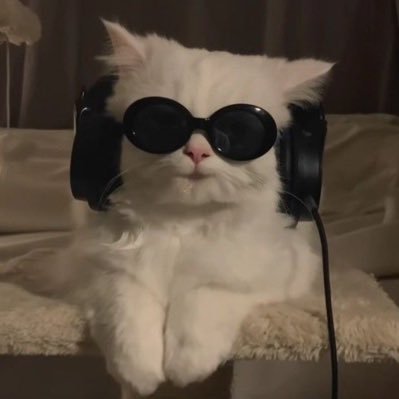 잔𝗗's profile picture