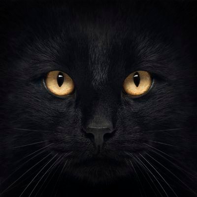 Alice_1971_'s profile picture