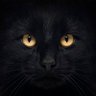 Alice Haven profil fotoğrafı