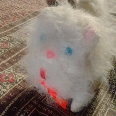 memes_f90s's profile picture