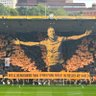 aw.wwfc83🐺💛🖤's profile picture