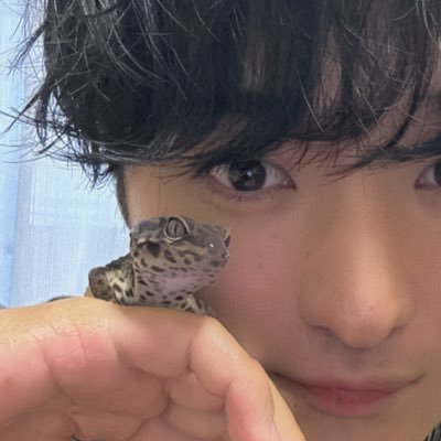 ぎん🦎's profile picture