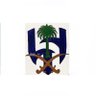 Asma Alshammari's profile picture