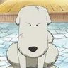 Prangy's profile picture