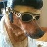 Morador do Cusil's profile picture