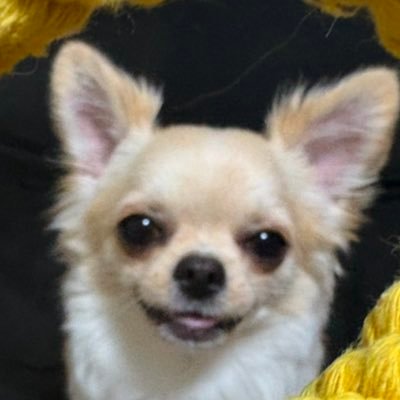 ひか's profile picture