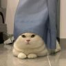 ぱちん 的头像