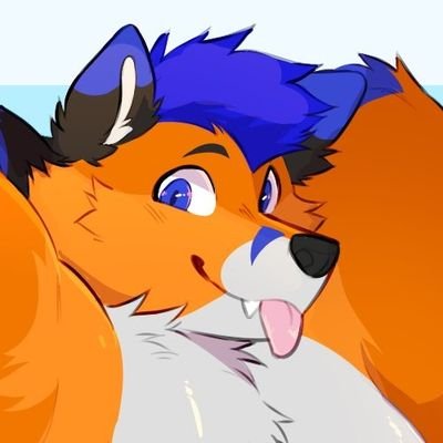 AeroFox🦊's profile picture