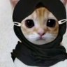 سهى.. 的头像