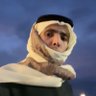صالح 47's profile picture