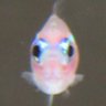 Фото профиля 60nen 消費税は廃止