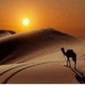 ابو تميم التميمي profil fotoğrafı