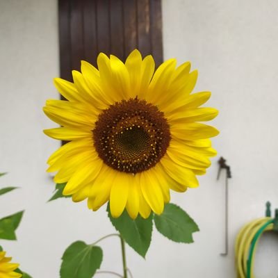 Anna302478978's profile picture