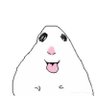 Ghost999 的头像