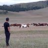 Profilbild von Нийслэлийн унаган иргэн