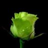 Фото профиля Comentarios