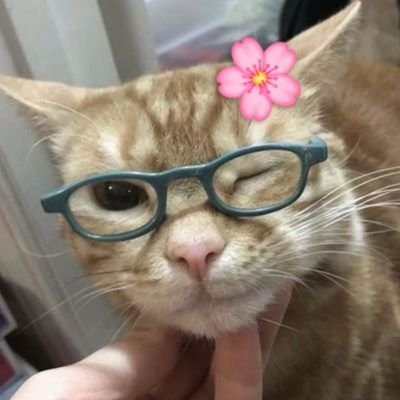 jane (kabute era)'s profile picture