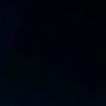 ね's profile picture