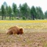 Фото профиля CHILL-Photography