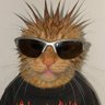 ๋๋ฐฅ's profile picture