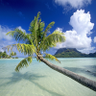 Фото профиля Brooke Gardner