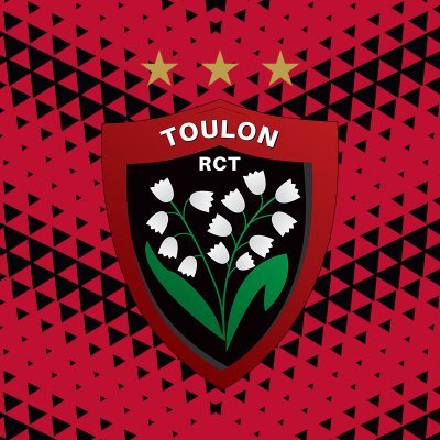 RCT - RC Toulon's profile picture