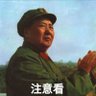 毛左(歸順毛主席版) 的头像