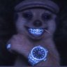 Profilbild von elevated_don’t play