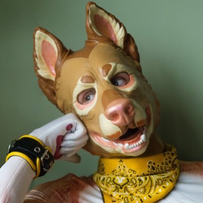 Buckie The Puppy's profile picture