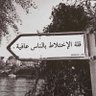 lraq 的头像