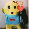 きよりん💙(ﾎﾝｼﾞｭﾗｽ大福)'s profile picture