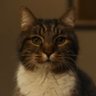 オコタンペ湖 profil fotoğrafı
