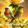 ابو الزهور's profile picture