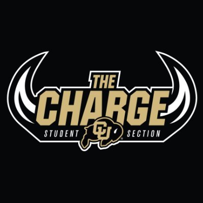 thechargebuffs's profile picture