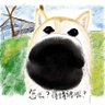 seansea 的头像