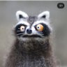 ㄚㄖ丂乇's profile picture