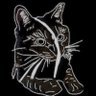 Profilbild von Piemaster37 | Developer of Sanity Break