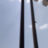 چِڑی اُڑی's profile picture