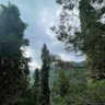 Фото профиля N.