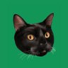 Matías 🇦🇷's profile picture